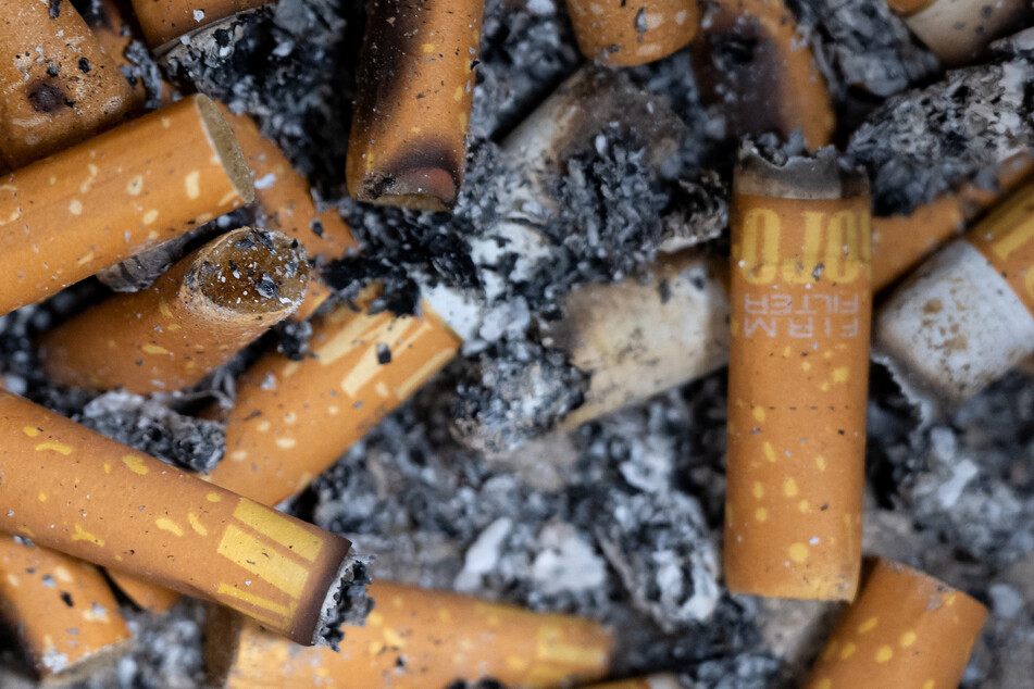 Weggeworfene Zigarettenstummel sorgen für eine große Umweltbelastung.