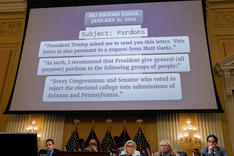 Multiple Republican members of Congress asked for presidential pardons from Trump in the days after the Capitol attack.