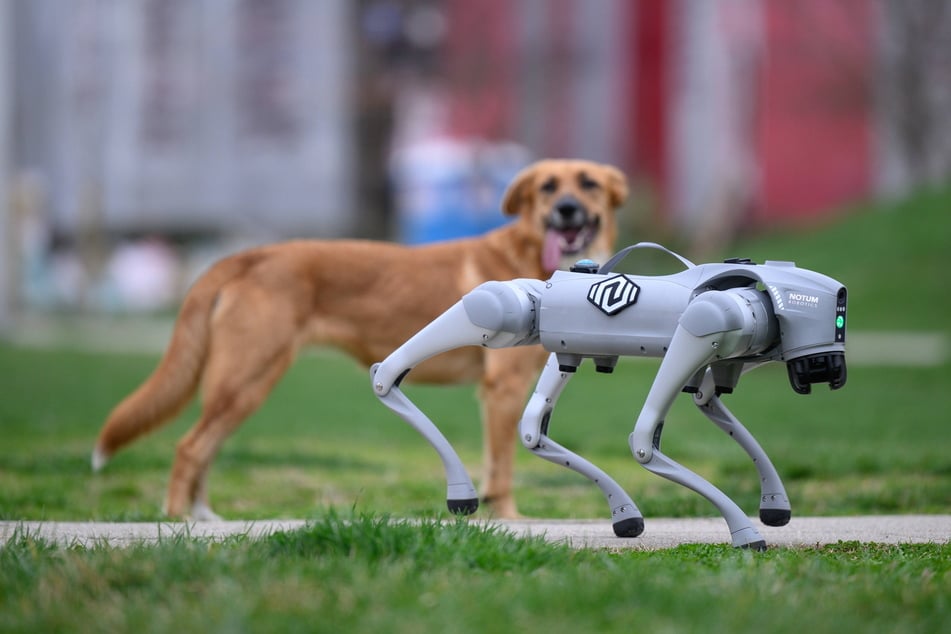 Hardware ist Vergangenheit, jetzt setzt Wandelsbots ganz auf Software.