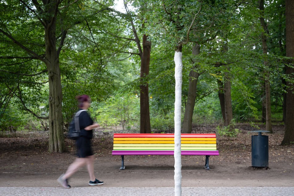 An der Stelle des gefällten Baumes wurden ein neuer Baum und eine Bank in Regenbogenfarben aufgestellt.