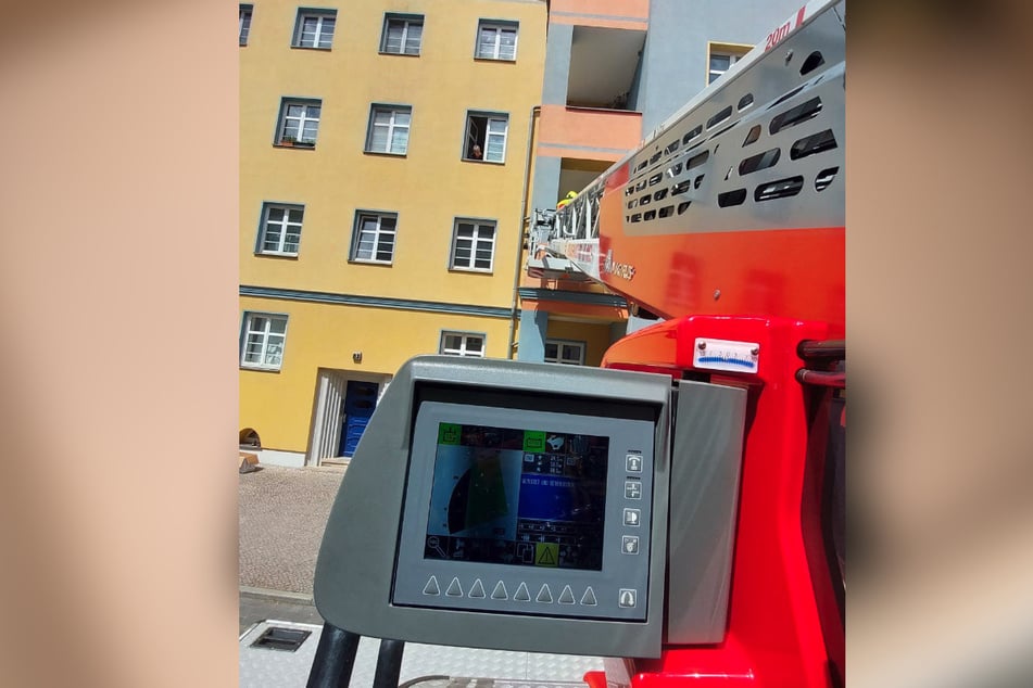 Auf einem Balkon in Potsdam saß eine Entenfamilie fest und musste von der Feuerwehr gerettet werden.