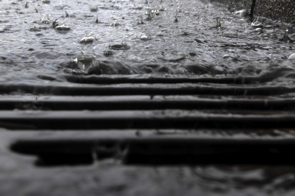 Bei Starkregen läuft das schmutzige Wasser von Berlins Straßen in die stehenden Gewässer, so auch in den Fennsee in Wilmersdorf.