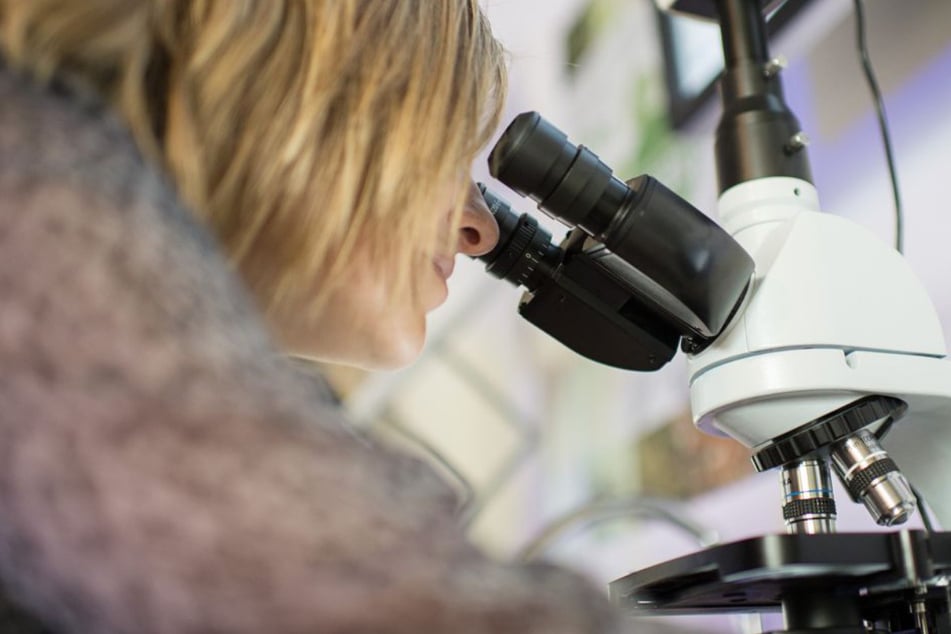 Große Lücke an MINT-Fachkräften: Hoffnung auf Zuwanderung, Ältere und Frauen