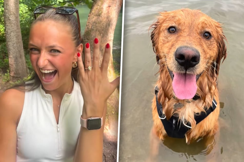 Mujer celebra su compromiso: Pero no tiene idea de lo que le pasa a su Golden Retriever detrás de ella