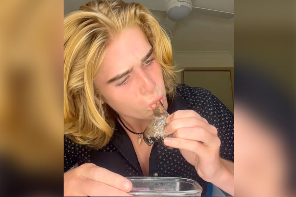 Marcus Yyoung beißt in seinem TikTok von der rohen, vier Monate alten Leber ab.