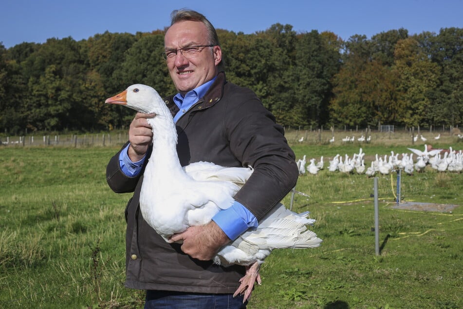 Unternehmer Lorenz Eskildsen (58) verkauft seine Gänse bundesweit.