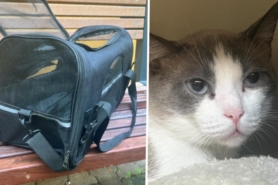 In dieser Tasche wurde der Kater vor einer Kölner Kirche abgesetzt und schließlich von der Feuerwehr aufgegabelt.