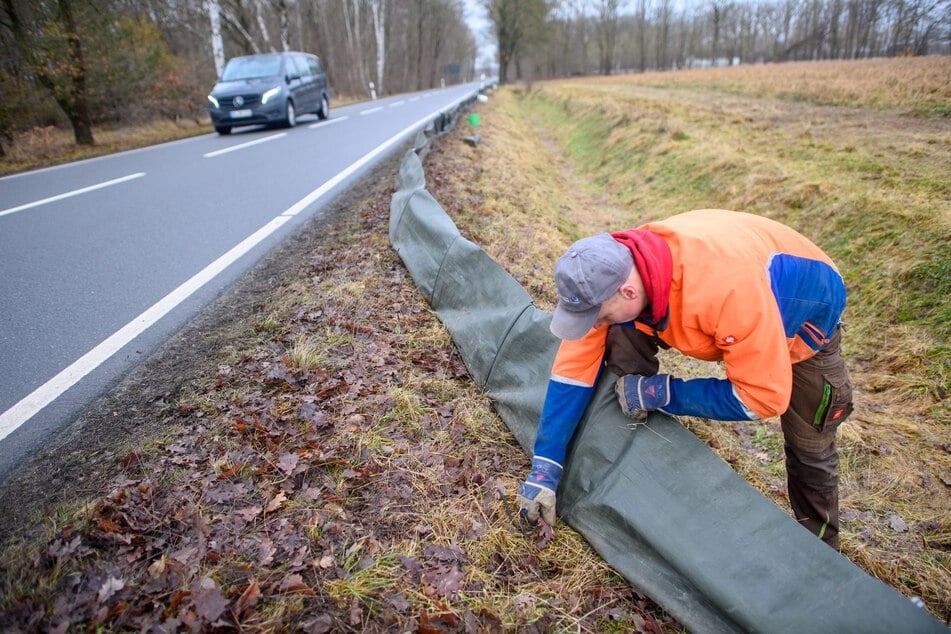 Ein Naturschützer errichtet an der Fahrbahn einen Krötenzaun.