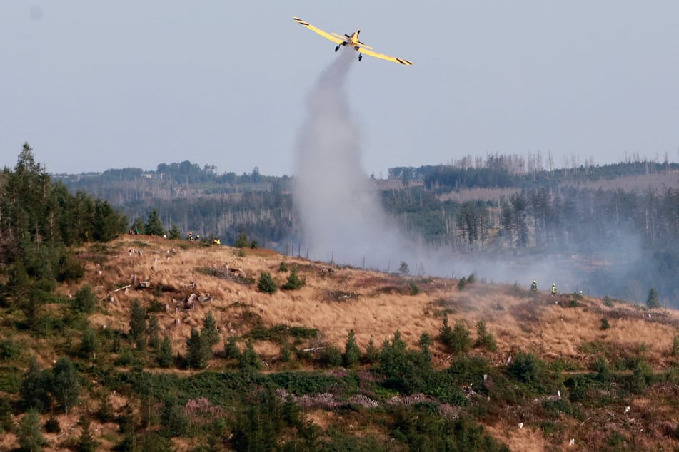 In einem Wald bei Ilsenburg im Harz brach am Montagnachmittag ein Großbrand aus.