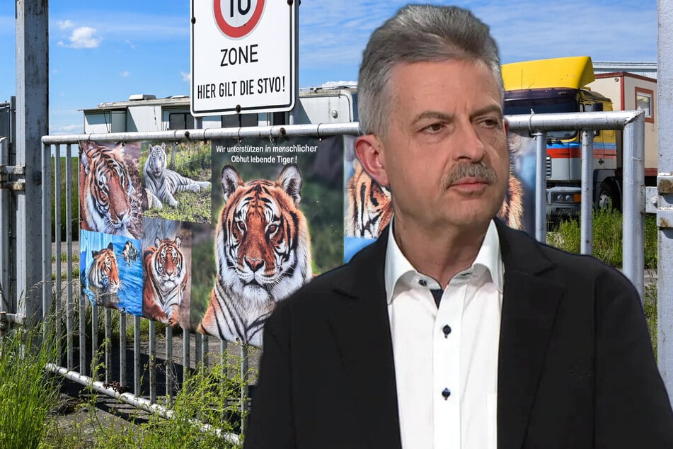 Tierheim-Chef nach Tiger-Angriff bei Leipzig außer sich: "Kein Mensch braucht diese Tiere zu Hause"