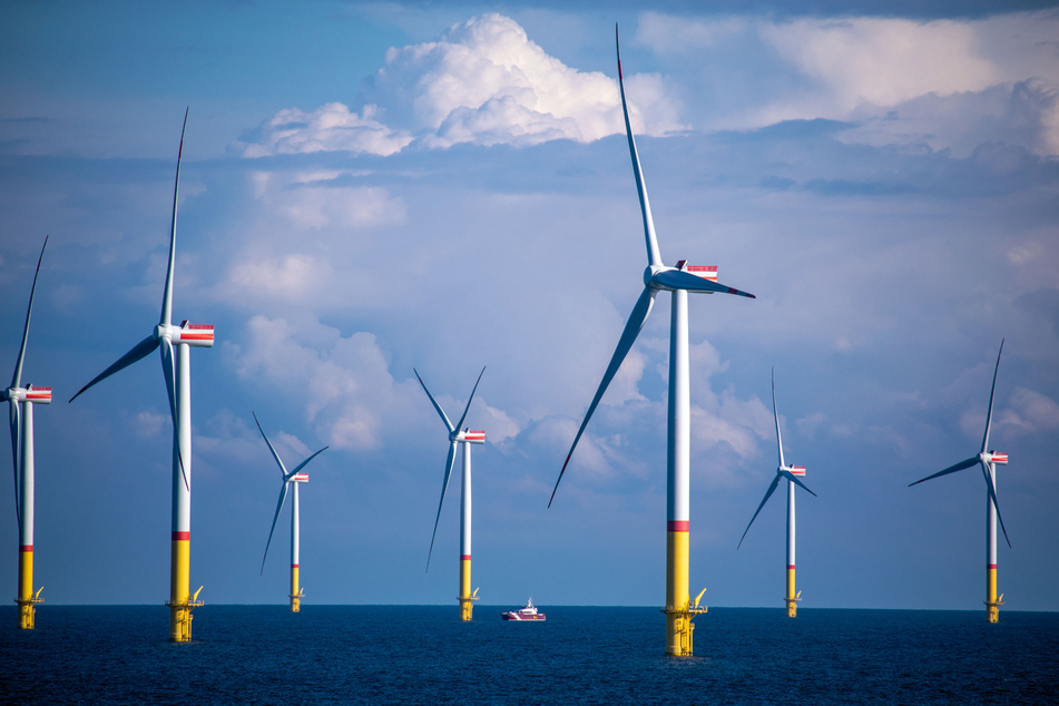 Windräder stehen zwischen den Inseln Rügen und Bornholm in der Ostsee. Den Strom sollte vorübergehend ein inseleigenes Kraftwerk produzieren.
