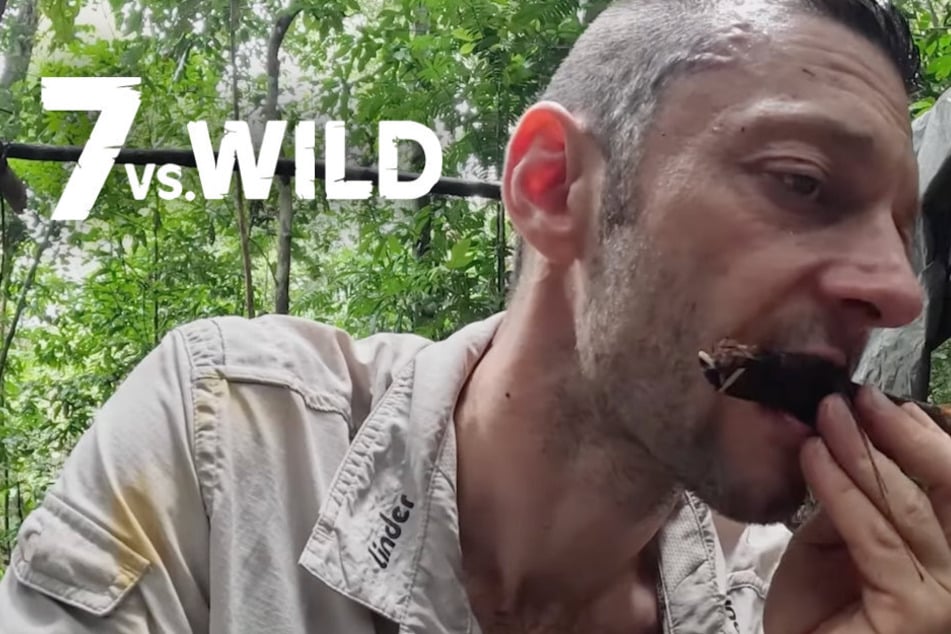 Mit Schnecken und Rochen: Schwächelnde "7 vs. Wild"-Stars kämpfen gegen den Hunger