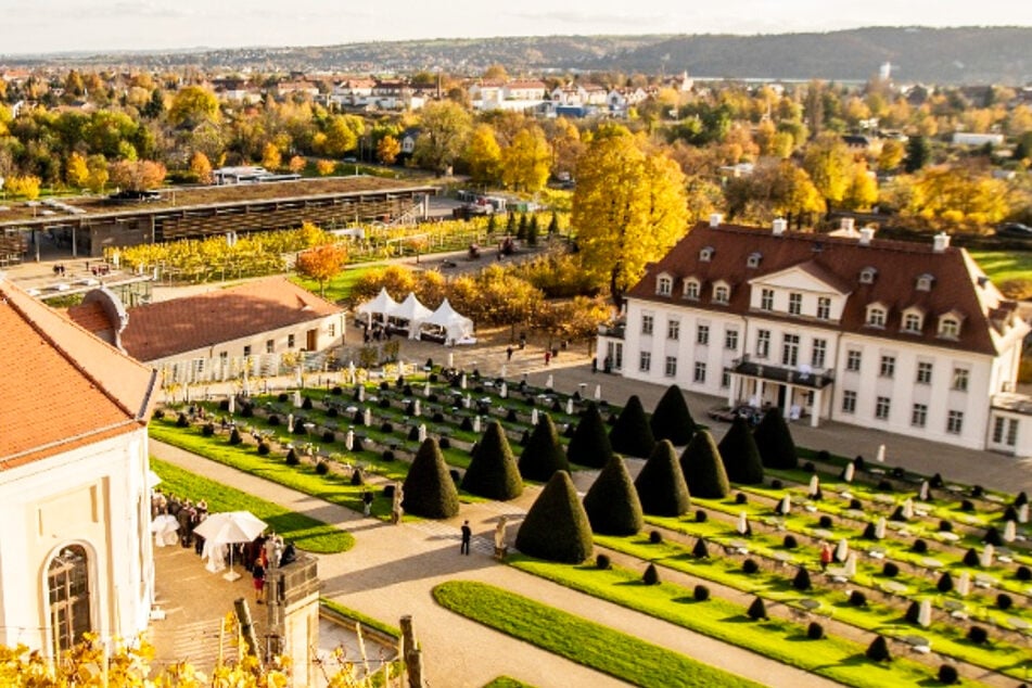 Das Schloss Wackerbarth in Radebeul im Herbst.