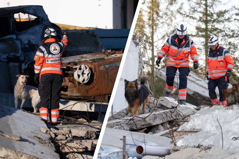 Rettungshunde im Südwesten trainieren für Erdbebeneinsätze