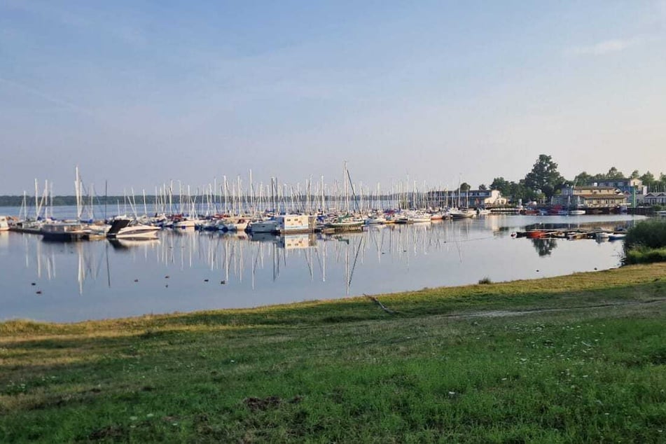 Der Cospudener See ist wahrscheinlich DAS Aushängeschild der Seenlandschaft rund um Leipzig.