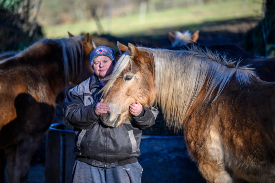 Anett Walther (58) mit ihren Pferden. Sie ist die Inhaberin vom Pferdehof Walther.