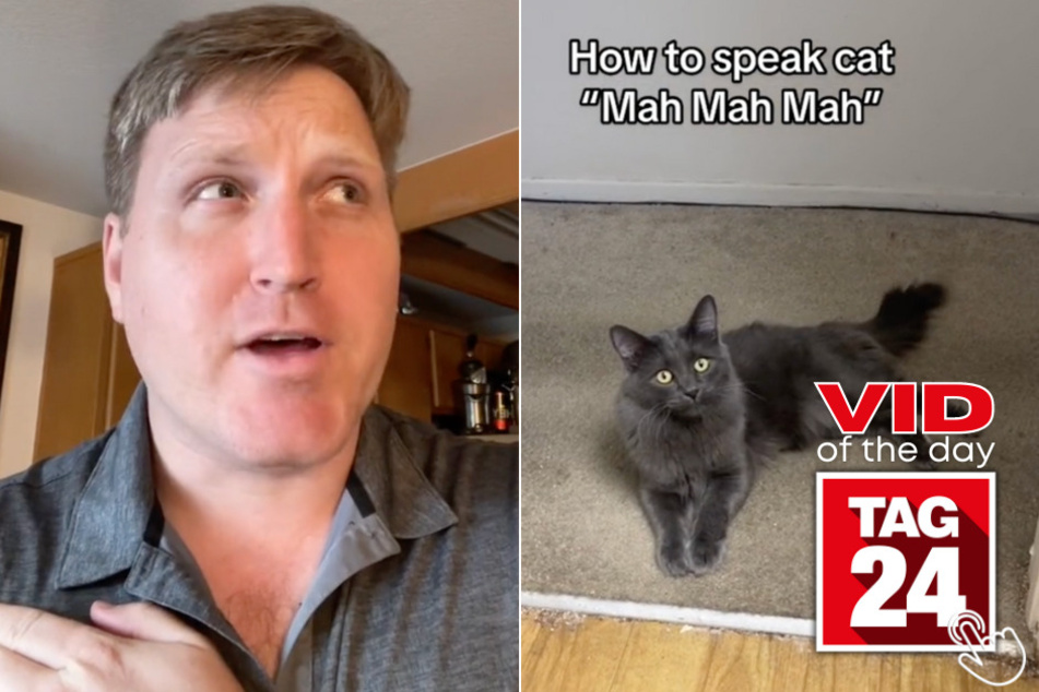 Today's Viral Video of the Day features a man who might have unlocked the key to understanding "cat language" in a viral TikTok video.