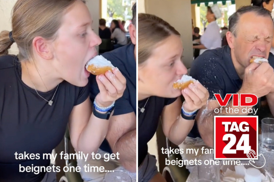 viral videos: Viral Video of the Day for November 15, 2023: This family cannot be trusted with beignets!