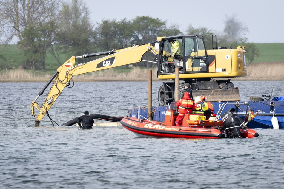 Buckelwal "Timmy" liegt weiter vor der Insel Poel: Baggerarbeiten in vollem Gange