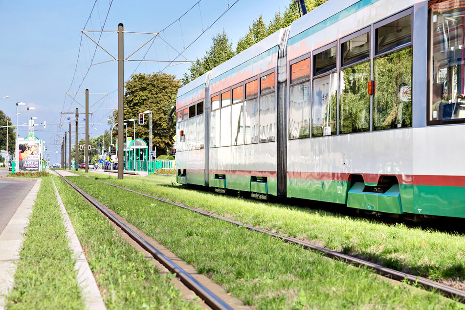 Ein 66-Jähriger hat in einer Magdeburger Straßenbahn mehrere Personen beleidigt und bedroht. (Archivbild)