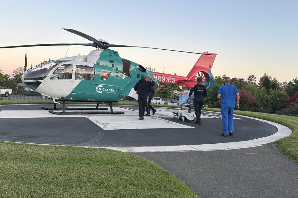 Als das Gegengift ausging, musste der Familienvater per Hubschrauber in eine Spezialklinik geflogen werden.