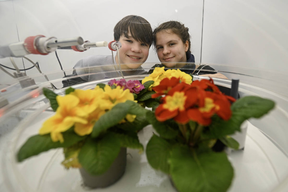 Anton Julius Zoubek und Franziska Vanessa Knoll von der Gutenbergschule Wiesbaden haben verschiedene Pflanzen in eine Biosphäre gestellt, um herauszufinden, wie sich die Pflanzen unter den Umständen einer Biosphäre verhalten.
