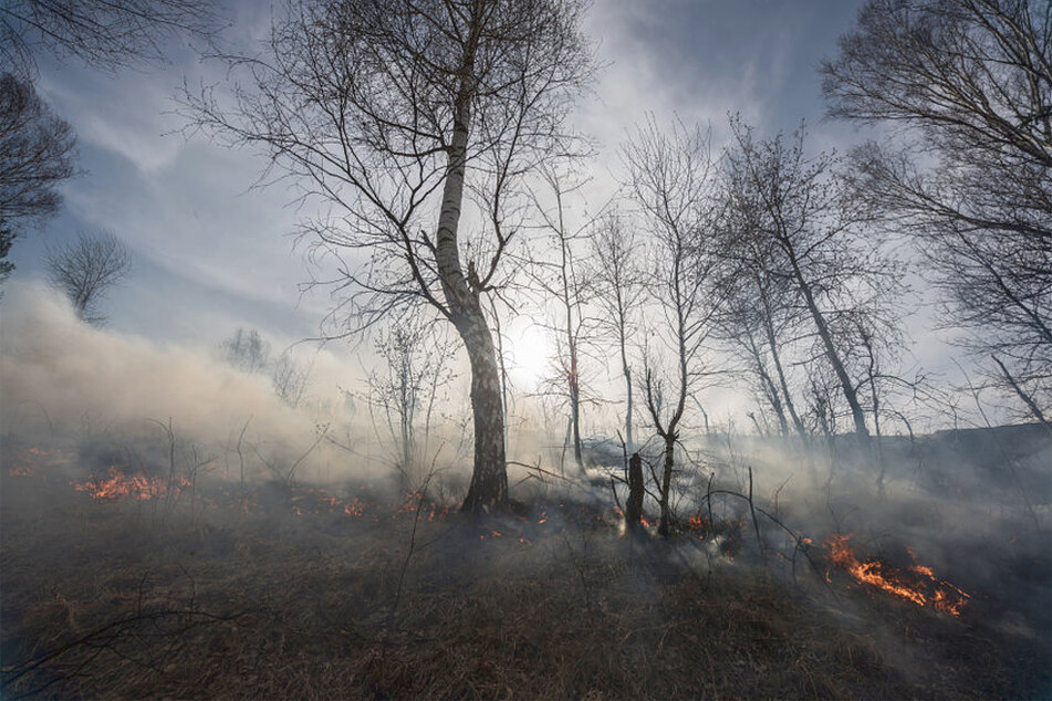 If countries don't get ambitious about their climate action, more wildfires will happen.