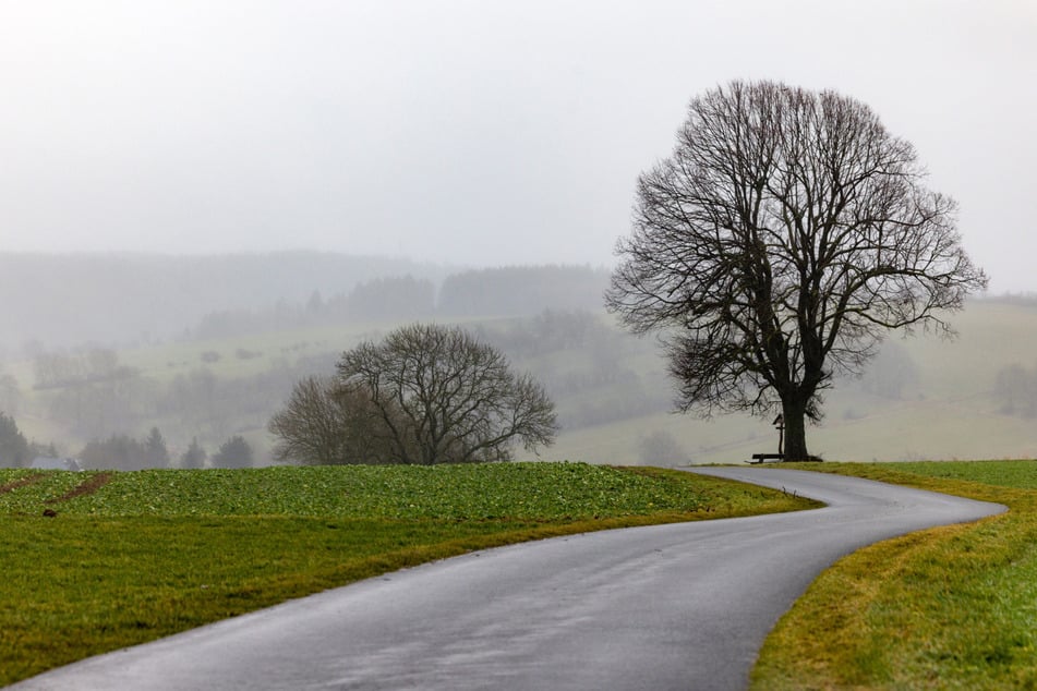 Zum Wochenstart gibt es in Thüringen laut Deutschem Wetterdienst einen Wechsel aus Wolken und kurzen freundlichen Phasen. (Archivbild)