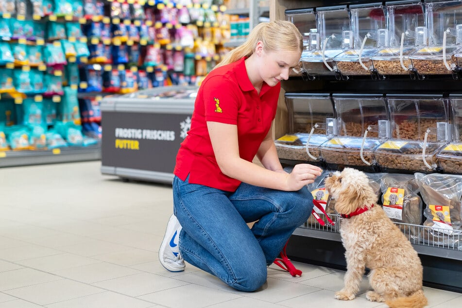 DAS FUTTERHAUS startet am Dienstag (25.11.) mit XXL-Rabatten in die Black Week