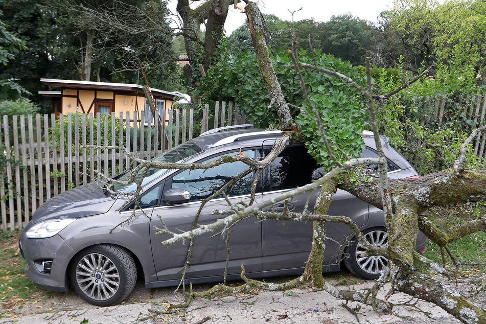 In Hohenstein-Ernstthal knallte ein großer Ast auf einen geparkten Ford.