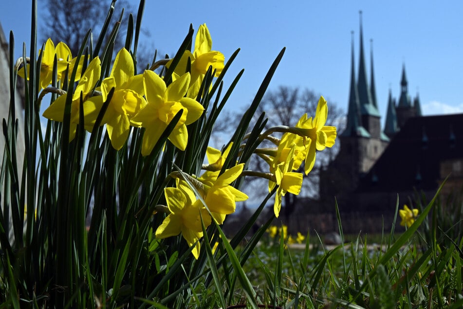 Das Wetter am Mittwoch in Thüringen wird richtig schön. (Symbolfoto)
