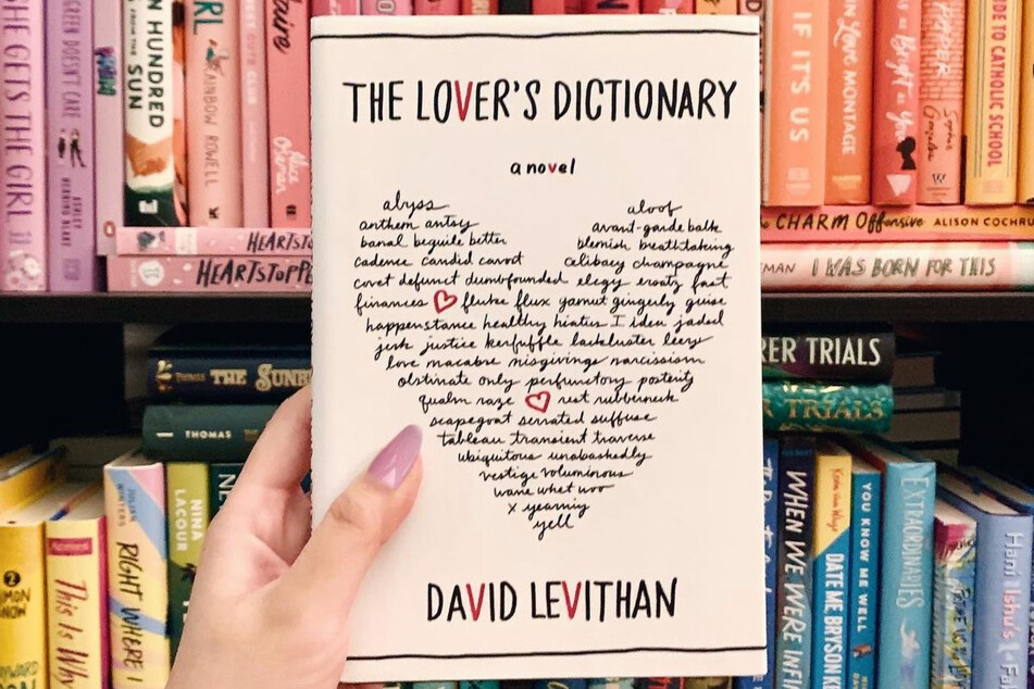 The Lover's Dictionary is a unique spin on the typical love story.