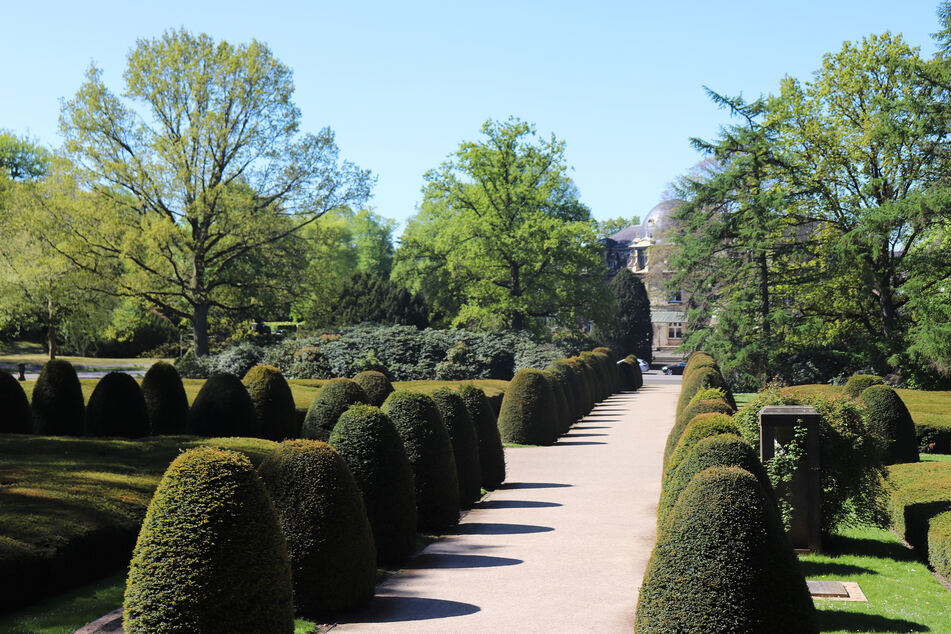 Die Ruhestätte in Hamburg-Ohlsdorf ist der größte Parkfriedhof der Welt.