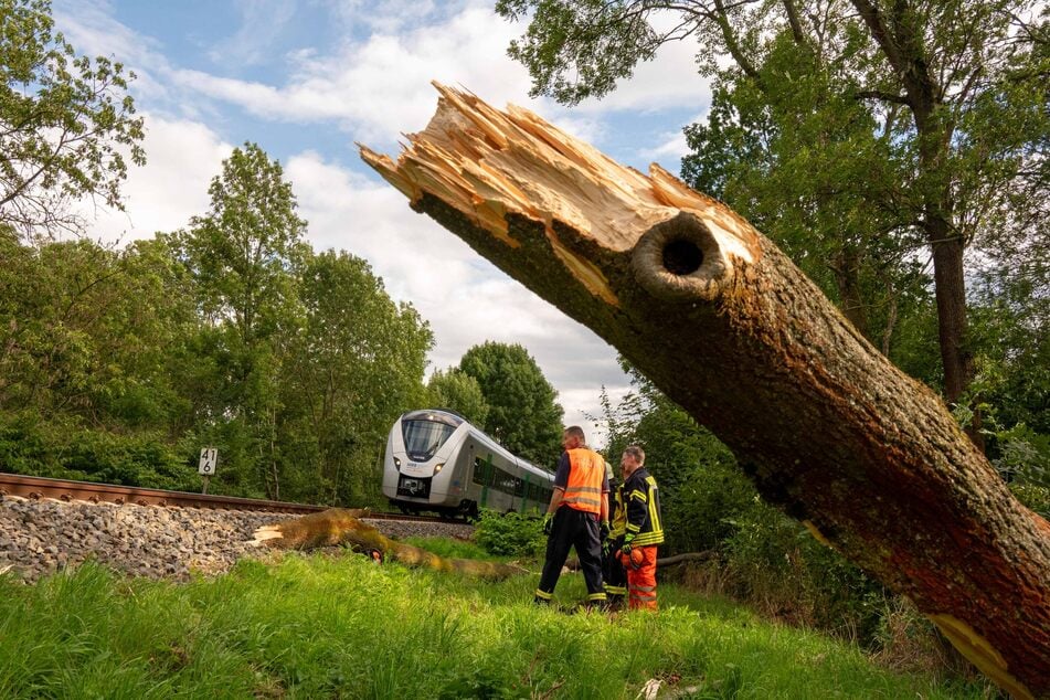 Der RE6 fuhr am Montagnachmittag gegen einen umgestürzten Baum.