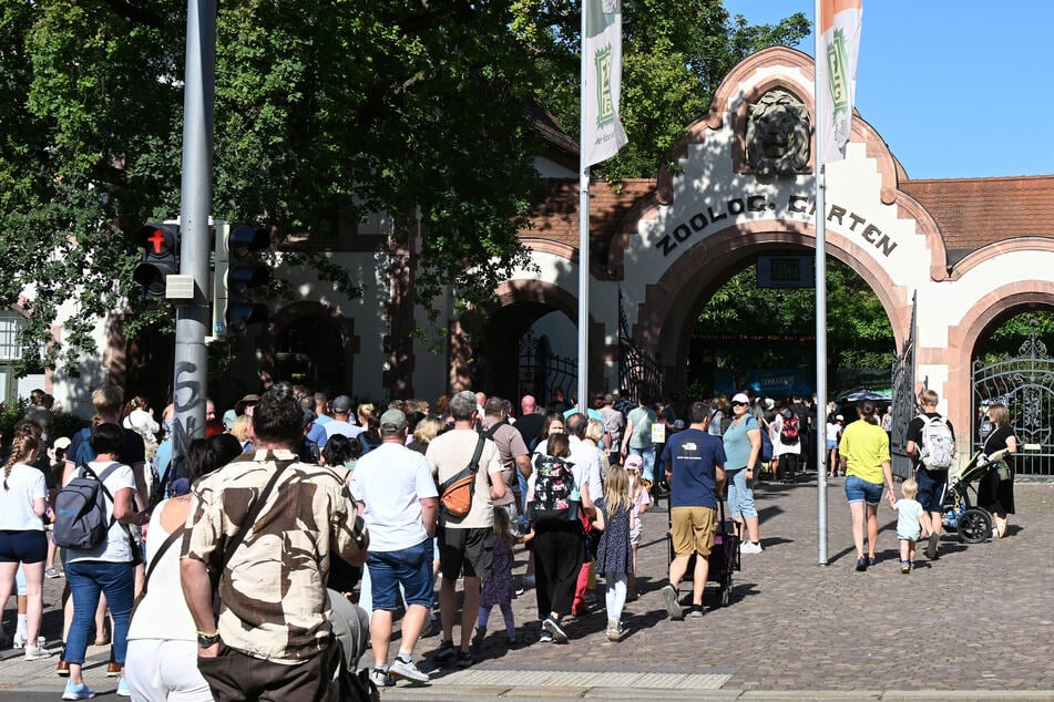 Im Zoo Leipzig wird ebenfalls das neue Schuljahr eingeläutet.