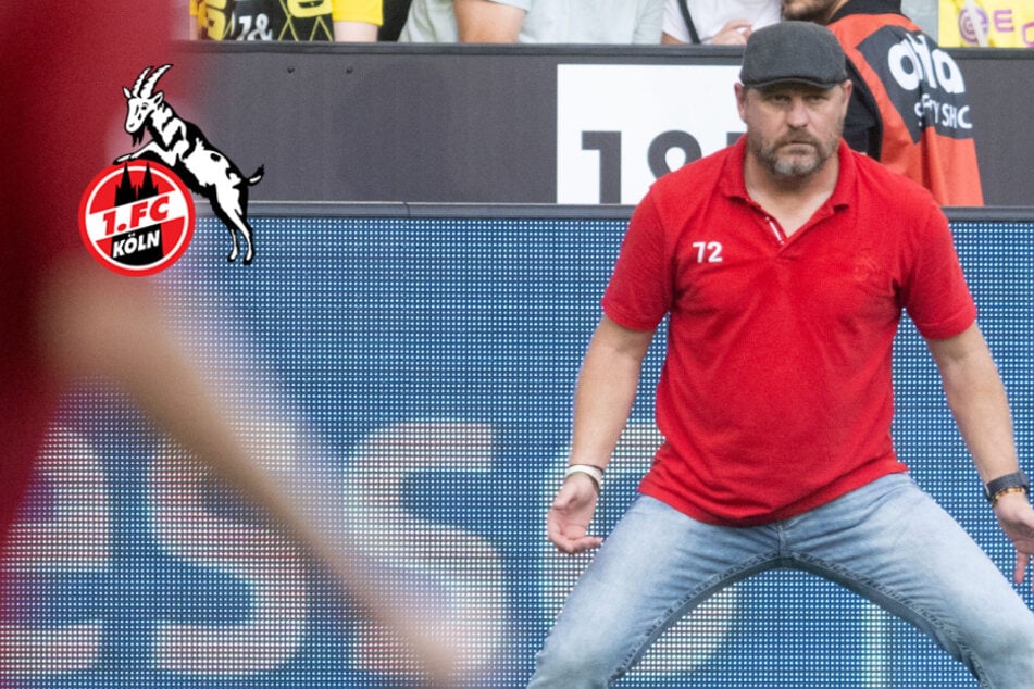 FC-Trainer Steffen Baumgart ledert erneut gegen DFB: "Kann doch wohl nicht wahr sein!"