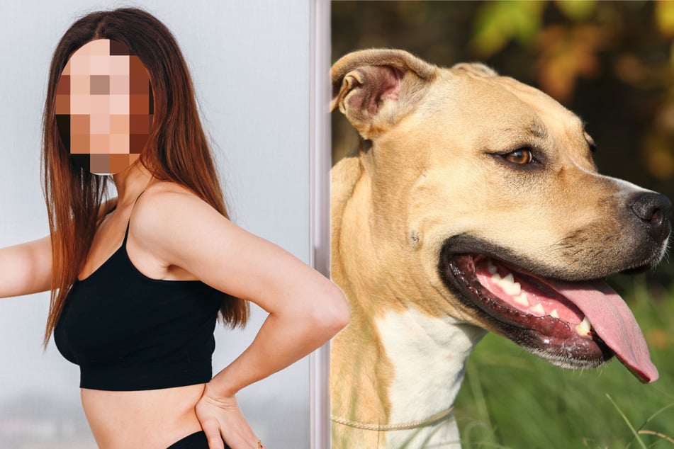 Mann bittet Freundin, Sex mit Hund zu haben: Was dann passiert, verändert alles!