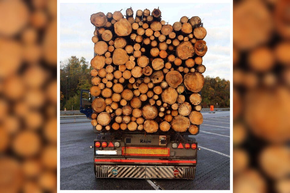Zudem hatte der Fahrer keine Erlaubnis für den Transport von Langholz und die Abgasanlage war defekt.