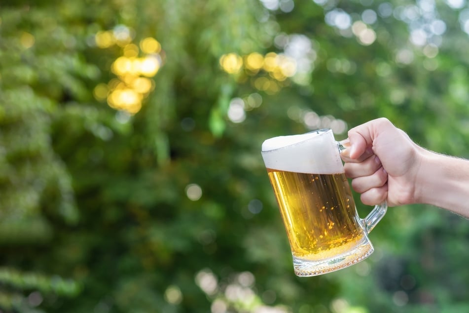 Bier als Pflanzendünger? Darum sollte man den letzten Schluck Bier nicht wegschütten.