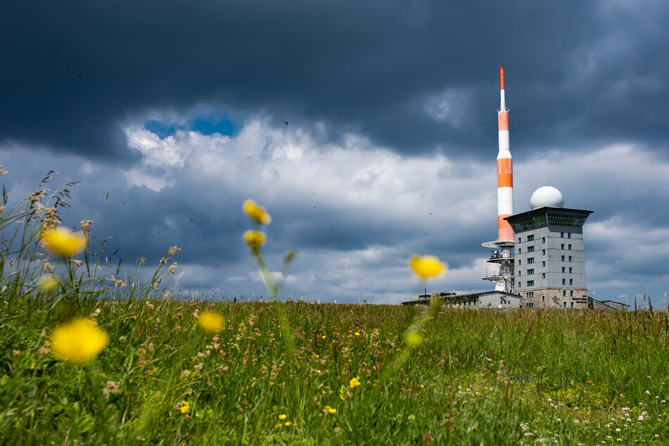 Rekordverdächtig? Das Jahr 2021 war in Sachsen-Anhalt wieder zu warm