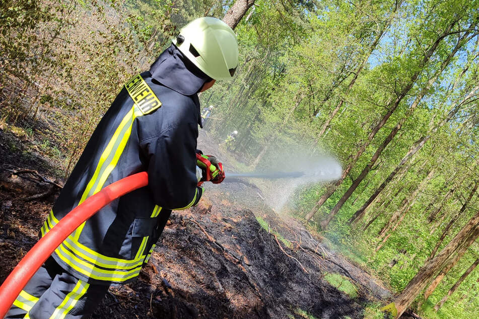 Die Feuerwehr konnte den Waldbrand in Nordsachsen zwar löschen.