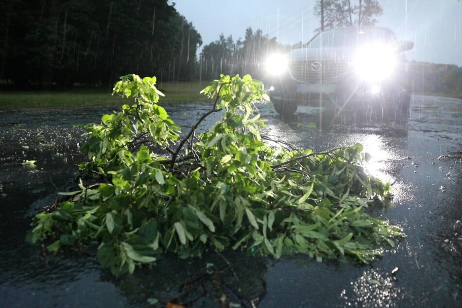 Bei Eichigt stürzte ein Baum auf die Straße nach Tiefenbrunn.