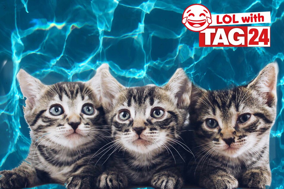Today's Joke of the Day is swimming in laughs.