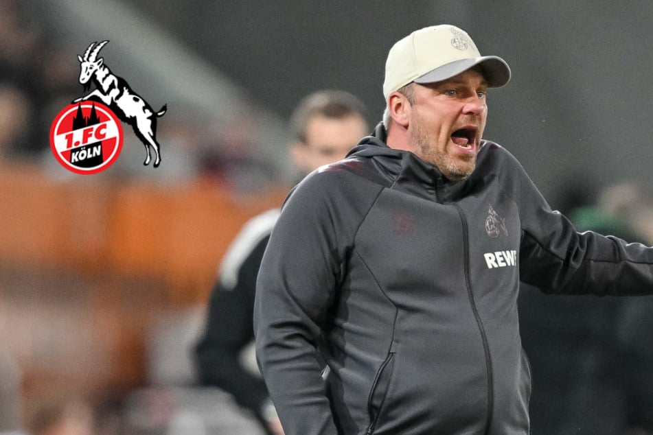 Endspiel für Lukas Kwasniok! Er soll Nachfolger werden