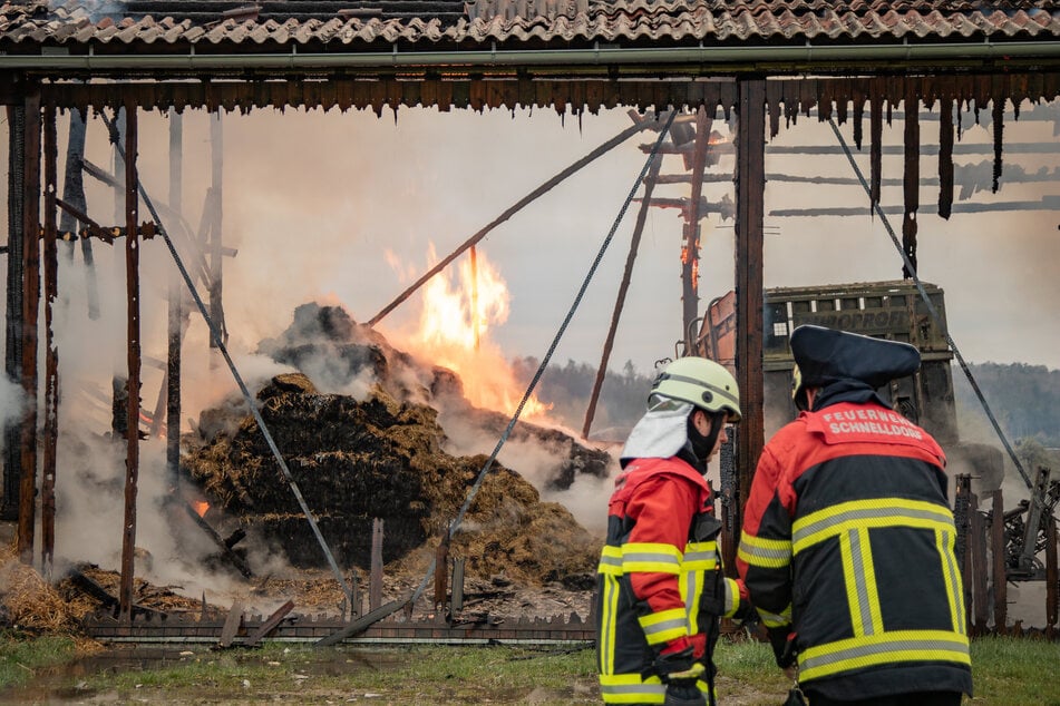 Tiere oder Menschen wurden durch den Brand nicht veletzt.