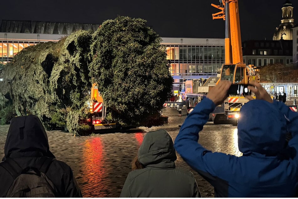 Gegen 17.30 Uhr erreichte der Baumtransport den Altmarkt in Dresden.