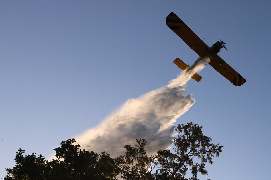 So oft war das Löschflugzeug "Hexe 1" in der Waldbrandsaison im Einsatz