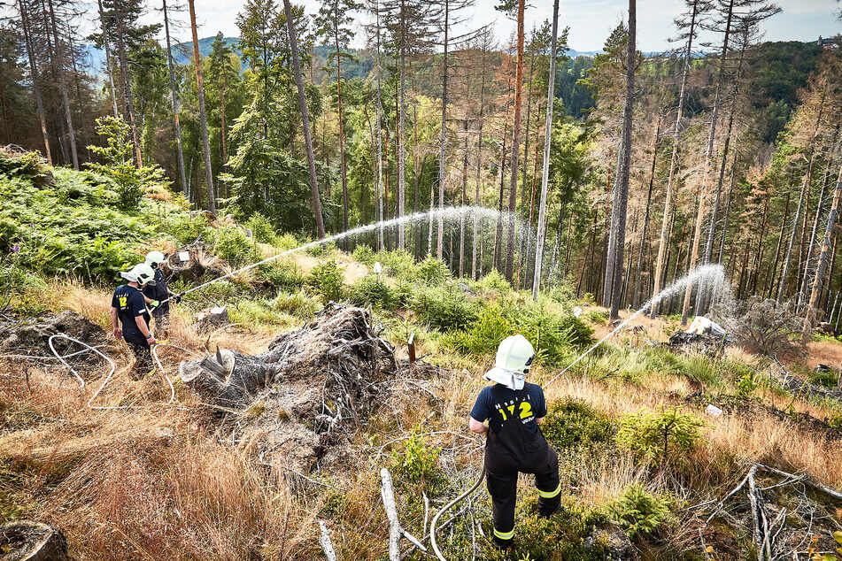 Nachdem die Kameraden der Feuerwehr alle Materialien vom Helikopter bekamen, konnten sie mit dem Löschen beginnen.