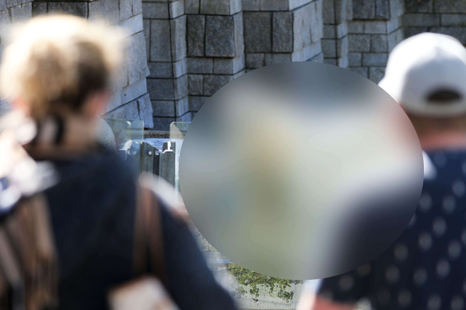 Nach über 100 Jahren: Diese Tierart verlässt für immer den Wuppertaler Zoo!