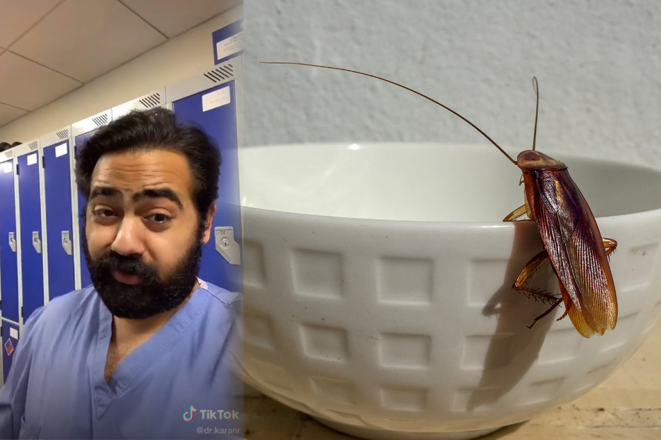 Dr. Karan Raj shocked TikTok when he revealed pre-processed coffee often contains cockroach remains (collage, stock image).